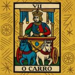 O Carro